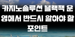 카지노솔루션 블랙잭 운영에서 반드시 알아야 할 포인트