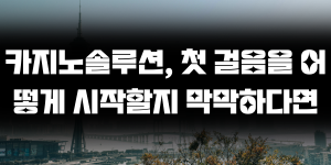카지노솔루션, 첫 걸음을 어떻게 시작할지 막막하다면
