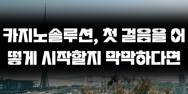 카지노솔루션, 첫 걸음을 어떻게 시작할지 막막하다면